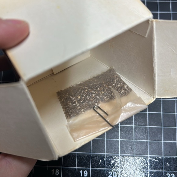 Vintage Chia Charlie One Standing Terracotta Cat Feline 1980s Collectible Plant - Picture 6 of 9